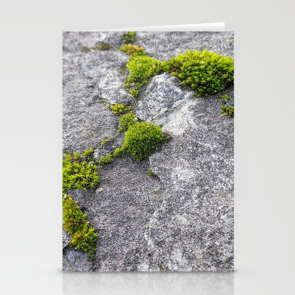 Moss Stationery Cards