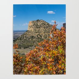 Mesa Verde Gambel Oak  Poster
