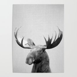 Moose - Black & White Poster