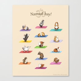 The Yoguineas - Yoga Guinea Pigs - Namast-hay! Canvas Print