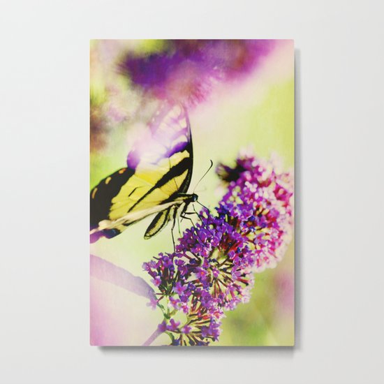 Butterfly Beauty Metal Print