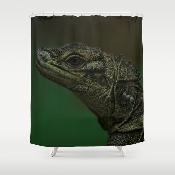Philippine Sailfin Lizard Shower Curtain By Rawshutterbug Society6 Philippine Sailfin Lizard Shower Curtain