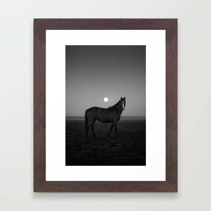 The Horse and the Moon Framed Art Print