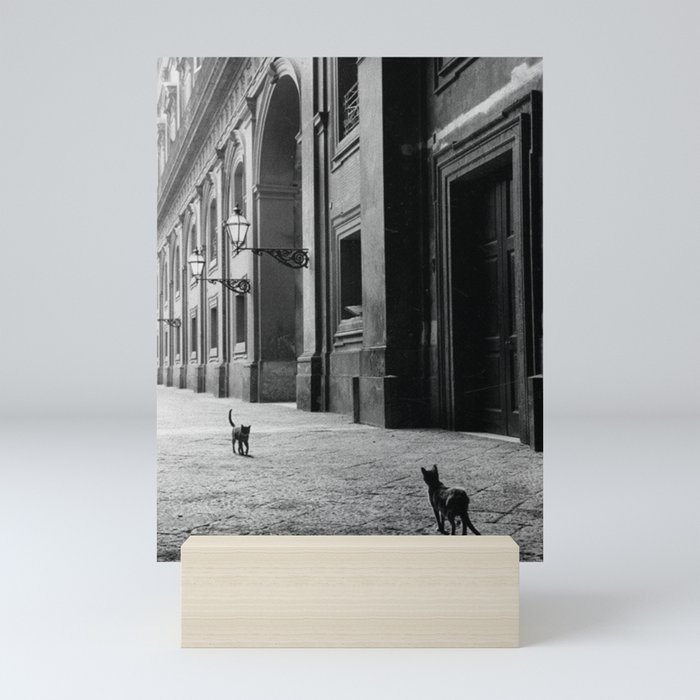 Two French Cats, Paris Left Bank black and white cityscape photograph / photography Mini Art Print