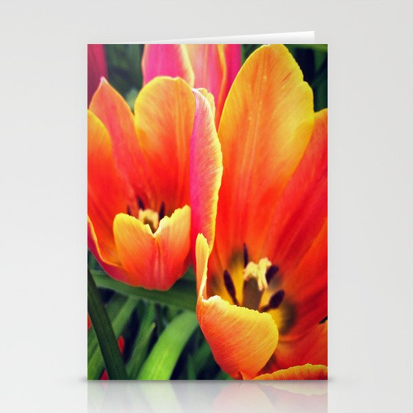 Coral Tulips in Bloom Stationery Cards