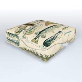 Vintage Fish Diagram // Poissons II by Adolphe Millot XL 19th Century Science Textbook Artwork Outdoor Floor Cushion