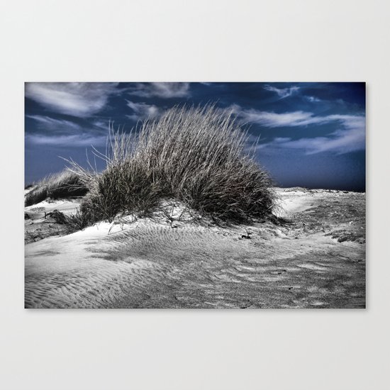 Windblown Canvas Print