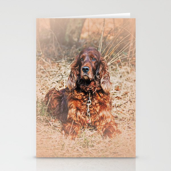 Red setter Stationery Cards
