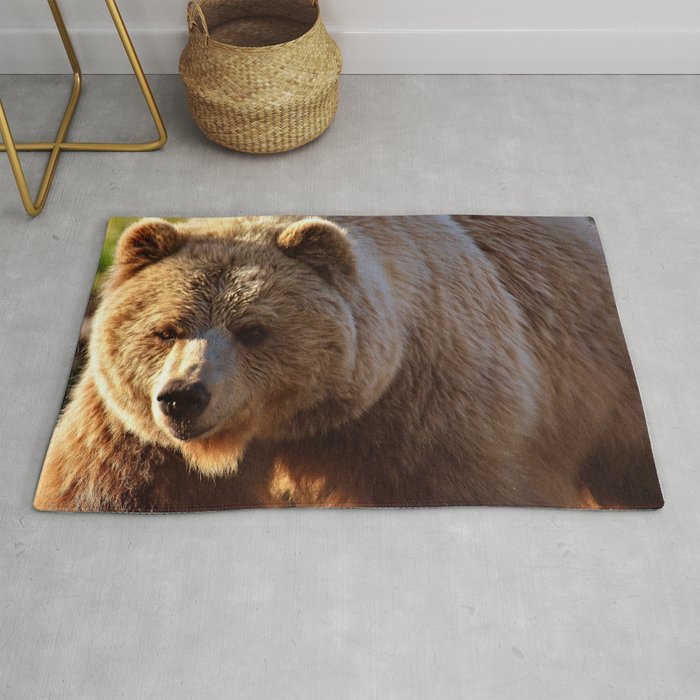 Grizzly Brown Bear  Rug