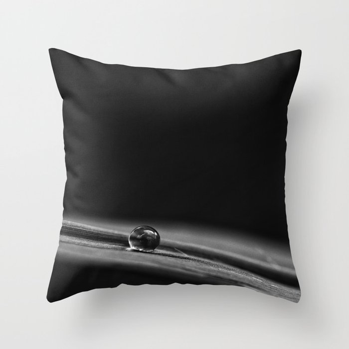 a drop there Throw Pillow