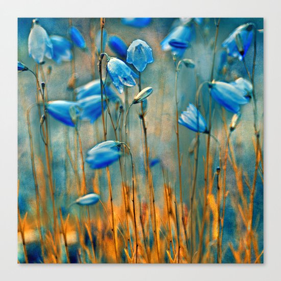 Bluebells. Canvas Print