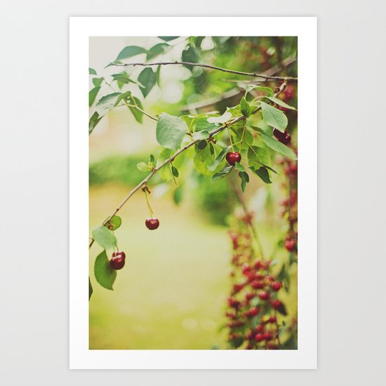 Cherries... Art Print