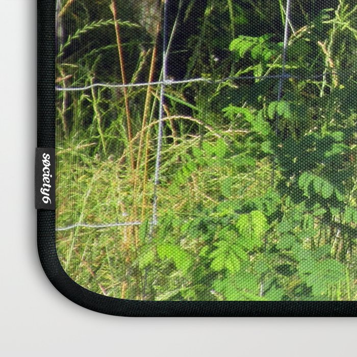 Red Breasted Grosbeak Indigo Bunting At Feeder Laptop Sleeve By