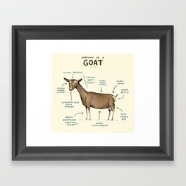 Anatomy of a Goat Framed Art Print