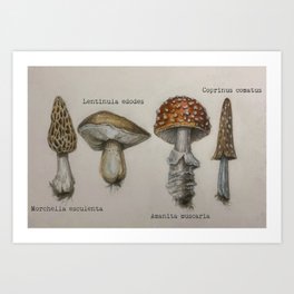 Field Notes: Mushrooms Art Print