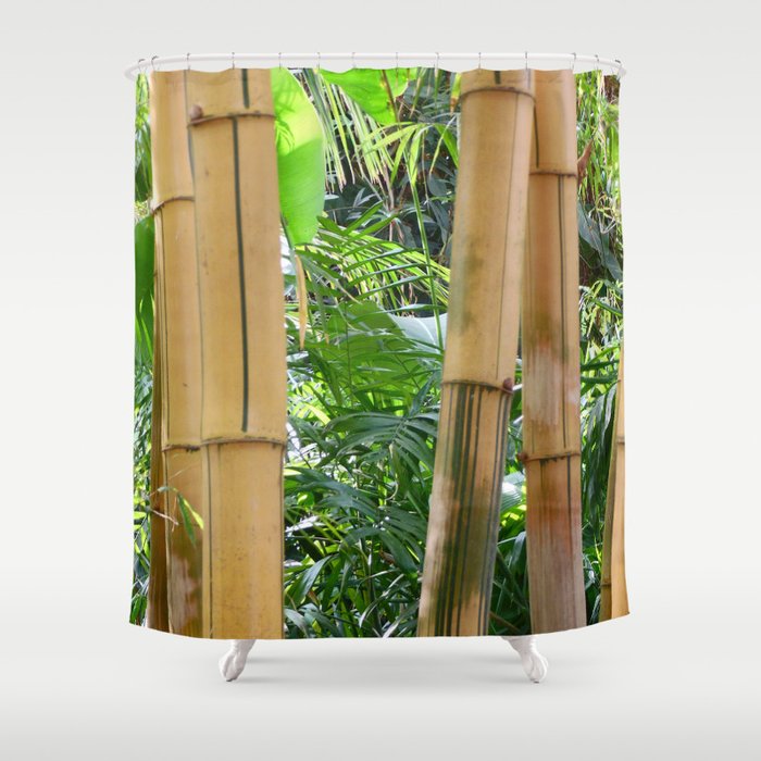 Bamboo Shower Curtain By, Bamboo Shower Curtains