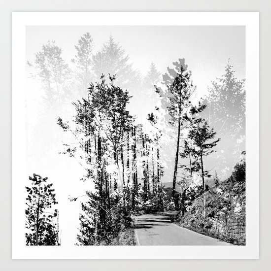 Woodland Art Print
