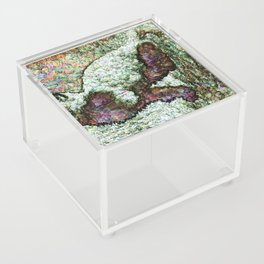 Living Inside Your Cat Acrylic Box
