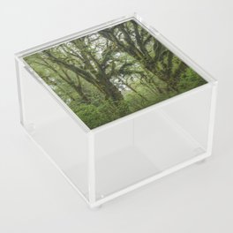 Mystic Woods Acrylic Box