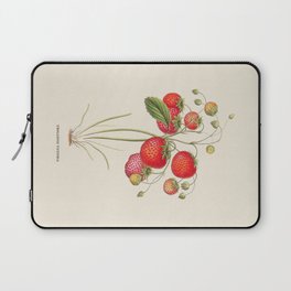 Strawberry Antique Botanical Illustration Laptop Sleeve