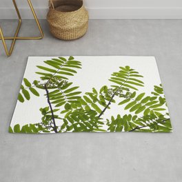 Green Rowan Leaves White Background #decor #society6 #buyart Rug | Spring, Forest, Plant, Landscape, Nature, Homedecor, Leaf, Leaves, Color, Green 