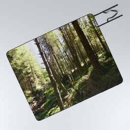 Scottish Highlands Light and Shadow Nature Path Picnic Blanket