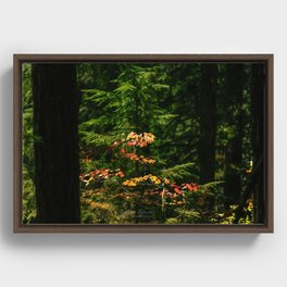Leaves in the Forest Framed Canvas