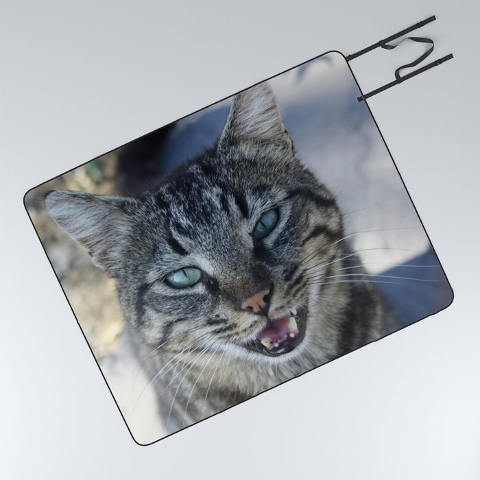 Chatty Cat Chirruping Pet Photography Picnic Blanket