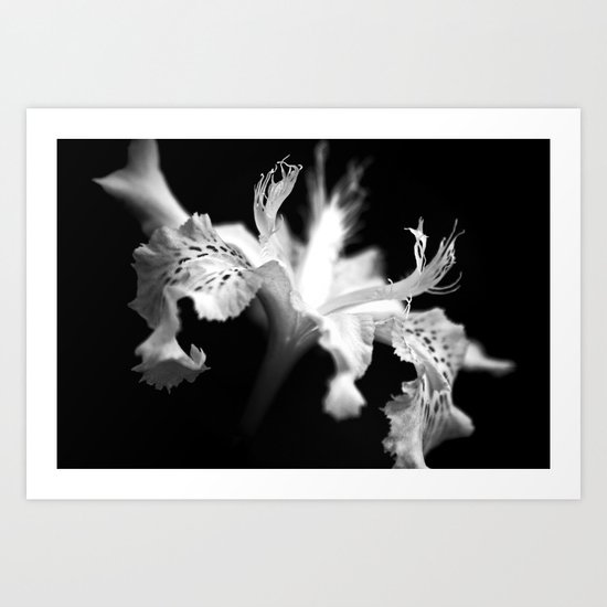 Tiny dancer Art Print