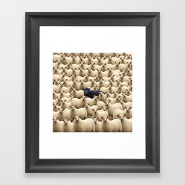 Black Sheep Framed Art Print