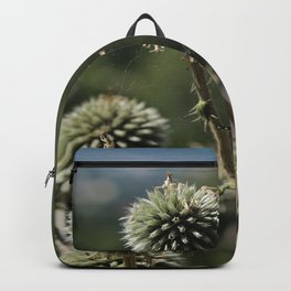 Great Globe Thistle Backpack