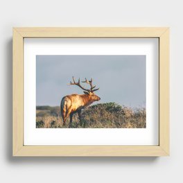 Smell the Air Recessed Framed Print