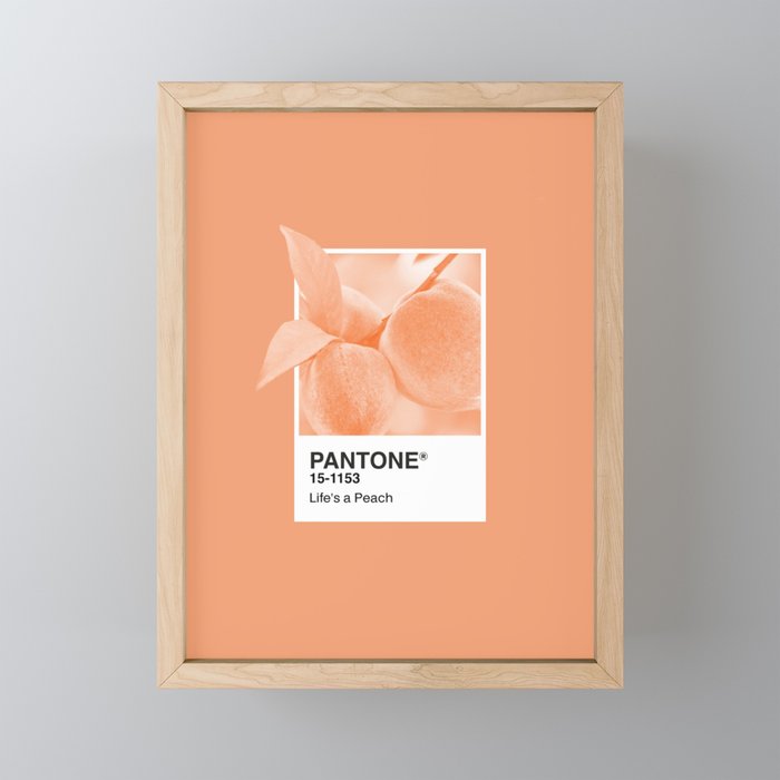 Pantone Series Peach 2 Framed Mini Art Print By Maines Society6