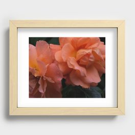 Dreamy Orange Roses Recessed Framed Print