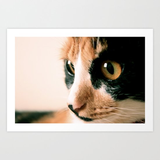 Thinking Cat Art Print