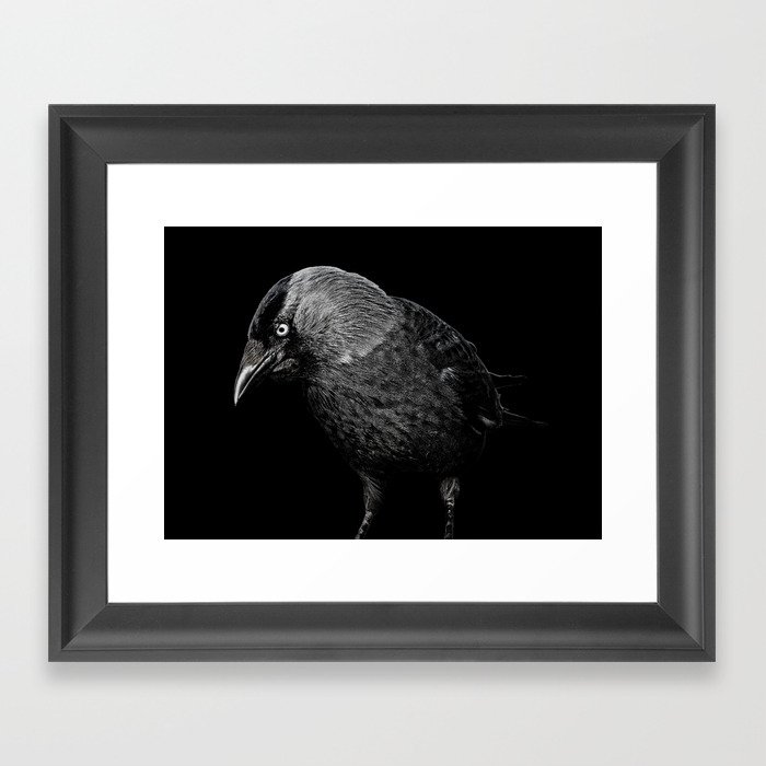 crow Framed Art Print