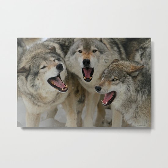 Watching Youtube Metal Print