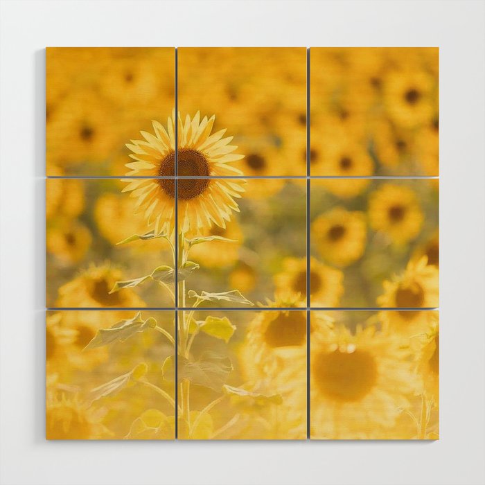 field of sunflowers3854714 Wood Wall Art