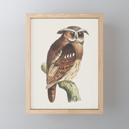 Owl illustration Framed Mini Art Print