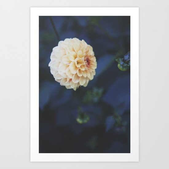 Beauty Art Print