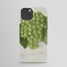 Grapes (Vitis)(1911) by Ellen Isham Schutt. iPhone Case