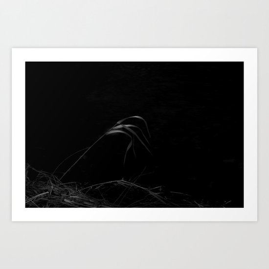 cold January water Art Print