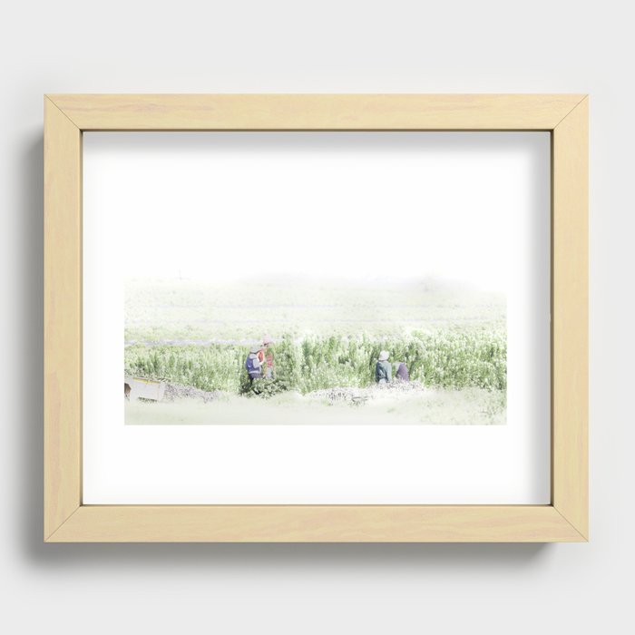 Protea Harvesting, Recessed Framed Print