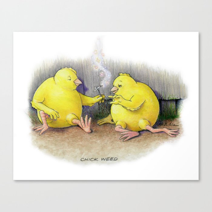 Chick Weed Canvas Print