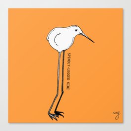 Cute monsters - the Spindly-legged Kiwi Canvas Print