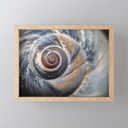 Blue and Gold spiral seashell Framed Mini Art Print