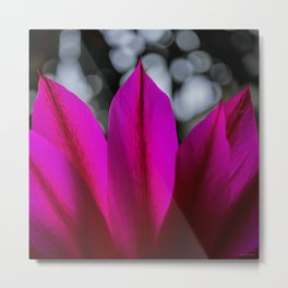 Pitaya Flower Metal Print