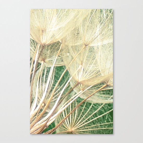 Beauty Within Canvas Print