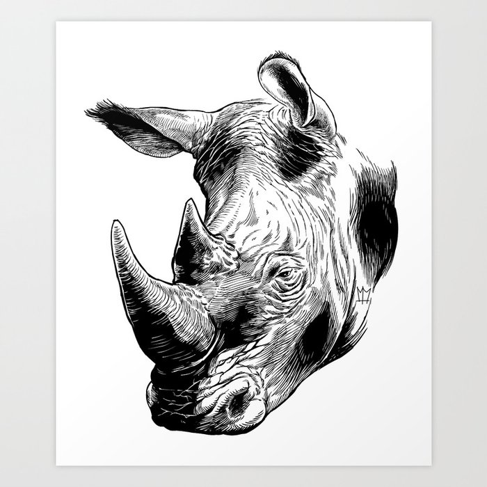 White Rhino Art Print