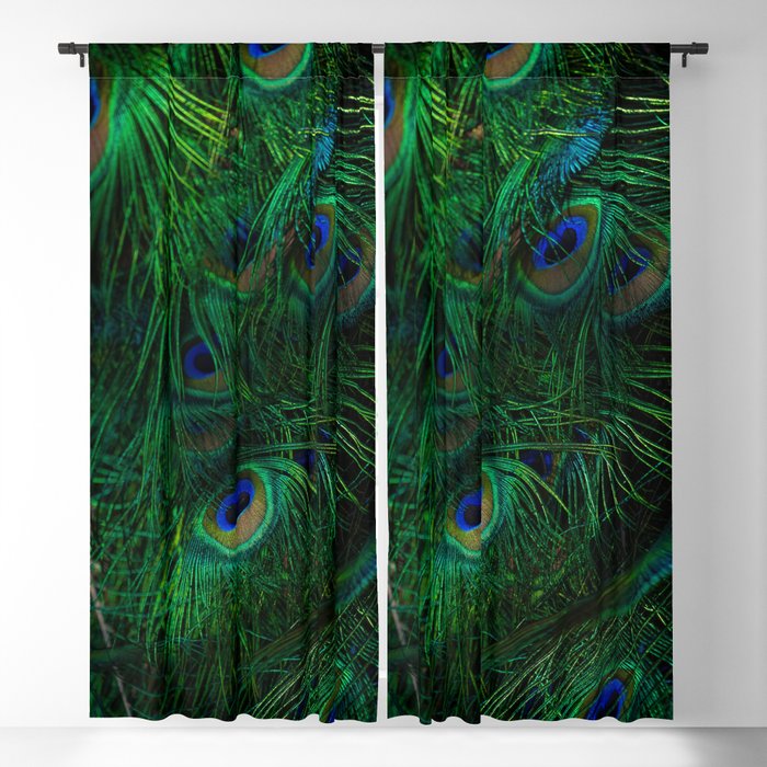 Blackout Curtain